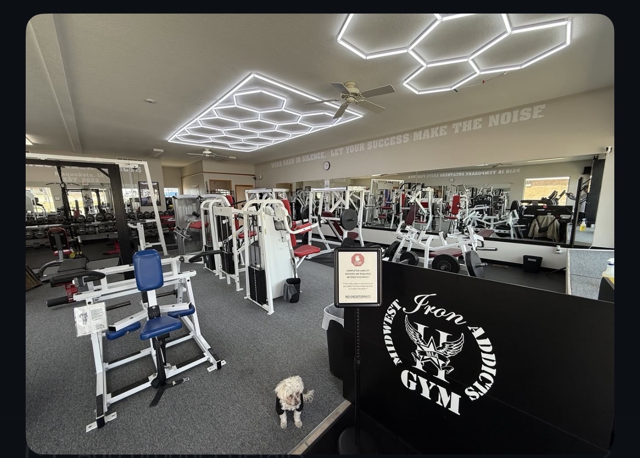 Maquoketa gym floor with strength machines, mirrors and geometric LED lighting